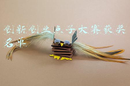 创新创业点子大赛获奖名单