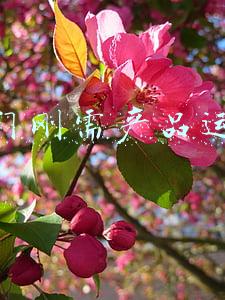 冷门小众刚需产品(买回家才知道：这些“小众”的好物真实用，能解决不少难题)