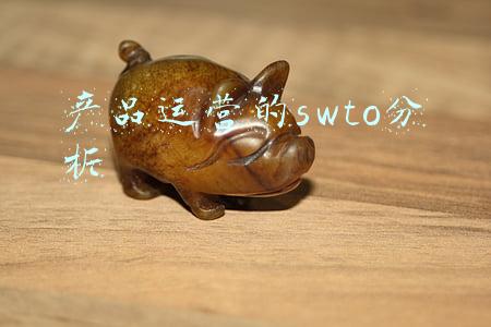个人的swto分析与总结(如何用SWOT进行自我分析？促进职场发展，改善精神内耗)