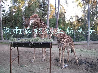 湖南省金点子(一起来吧！让你的“金点子”变成湖南高质量发展的“金钥匙”)