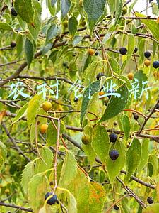 湖南省点子税局(湖南上线掌上电子税务局，24小时服务“不打烊”)