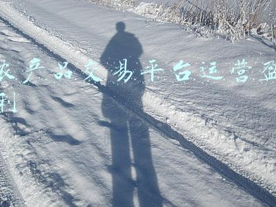 农产品交易平台运营盈利