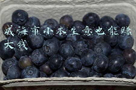 威海市政府(威海市政府征集意见和建议！涉及2021年民生实事)