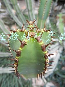 转行产品经理做不下去了(我为何放弃七年研发经验转型产品经理？)