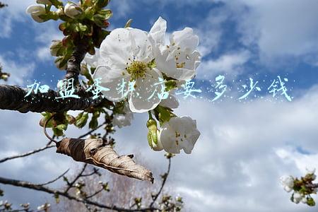 加盟蛋糕店怎么样(蛋糕加盟店哪家好)