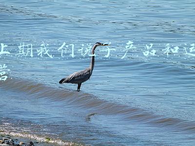 上期所 黄金保证金(上期所调整黄金、铜、铝、锡等品种交易保证金比例和涨跌停幅度)