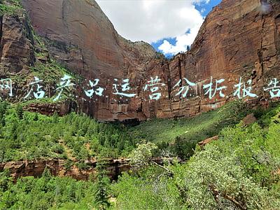网店产品运营分析报告