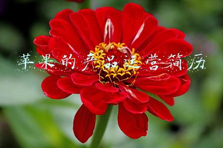 苹果公司团队介绍(探访苹果最神秘的设计团队)