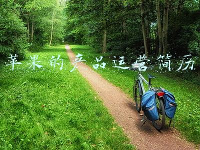 苹果的产品运营简历