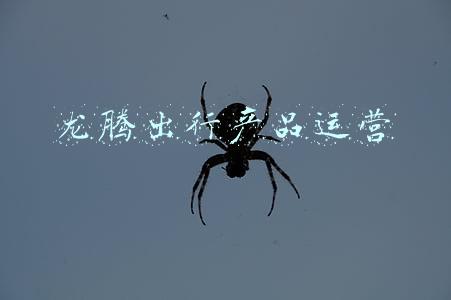 龙腾出行卡(下卡就是省钱，很火的10张白金卡推荐)