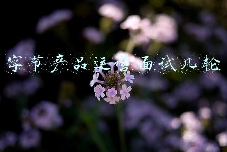 字节跳动产品运营面试(收到字节 Offer，月薪 45k，揭秘字节面试流程及考点)