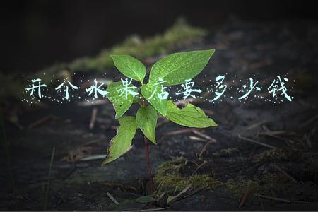 开个水果店大概要投资多少（开个水果店要多少钱投资）