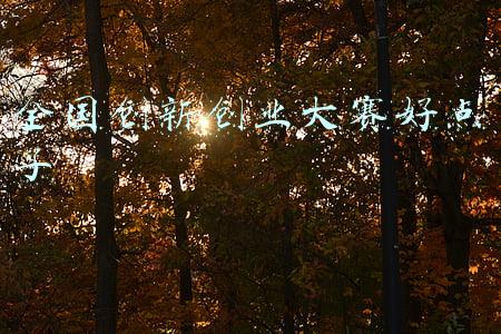 全国创新创业大赛好点子