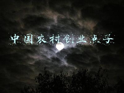 中国农村信用合作社(农村信用社发展简记一)