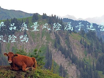 产品质量风险评估报告(风险评估报告模板)