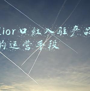 dior口红入驻产品的运营手段