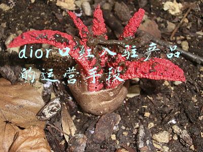dior口红入驻产品的运营手段
