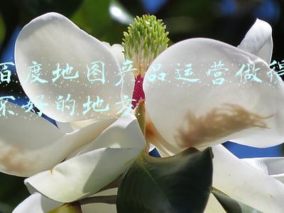 百度地图产品运营做得不好的地方