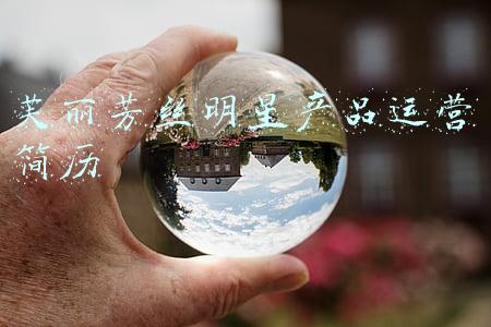 芙丽芳丝明星产品运营简历