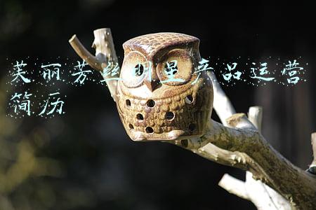 芙丽芳丝明星产品运营简历