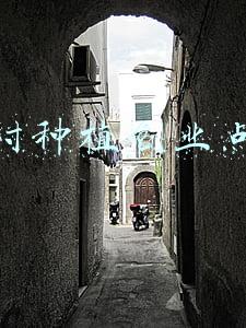 农村种植创业点子
