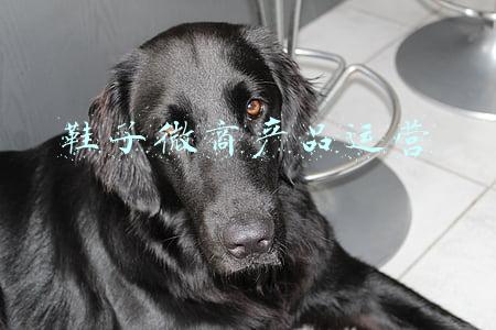 微商买鞋流程(加顾客微信后，怎么把鞋子卖给她？)
