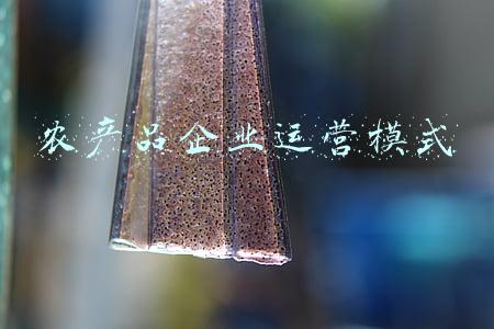 农产品企业运营模式
