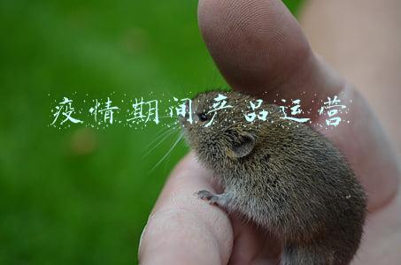 疫情期间企业营销面临的问题(疫情时代单体酒店经营秘籍｜营销兵法001期)