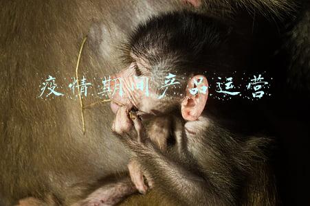 疫情期间的产品设计(数字医疗的「适老化」设计思考)