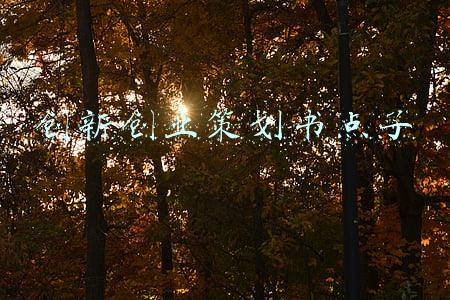 创新创业策划书点子