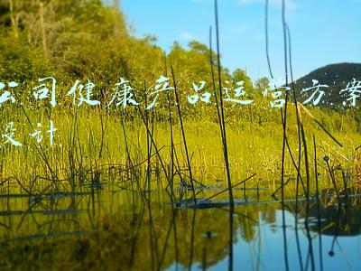 电子产品方案开发公司(卓胜微、圣邦股份…谁是盈利能力最强的模拟芯片设计企业？)