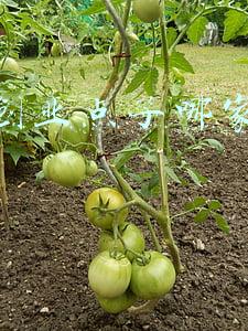 农村创业点子哪家值得信赖