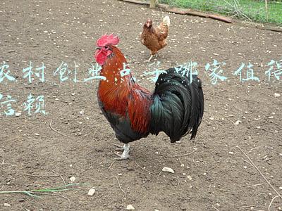 值得信赖是什么意思(【守护万家平安】湖北襄阳：危难时刻，我们永远值得信任！)