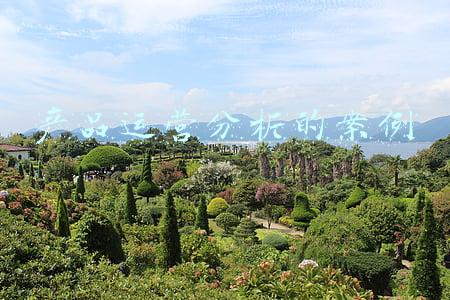 产品运营分析的案例