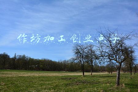 手工作坊创业(甘肃95后幼师不顾父母反对，辞职创业当“木匠”，直言想让老工艺焕发新光彩)