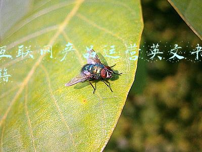 互联网产品运营英文书籍