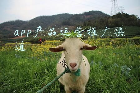 app推广接单渠道(2021年app推广拉新怎么做？如何找到一手渠道商的任务单？)