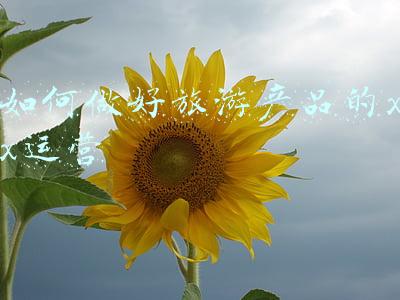 如何做好旅游产品的xx运营