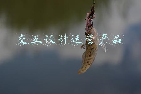 交互系统设计(交互设计的价值是什么？)