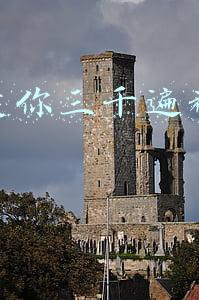 抖音爱你三千遍视频怎么做