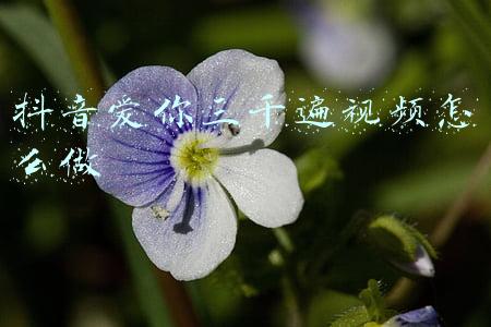 我爱你中国原唱视频(高亭宇夺冠那一刻，赛场响起《我爱你中国》)