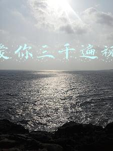 123我爱你抖音视频(抖音太阳花吹的曲子 新乐尘符《123我爱你》)