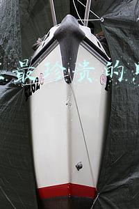 抖音里最珍贵的照片怎么做