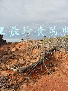 珍贵的照片(31张即将绝版的彩色老照片：漂亮、速看)