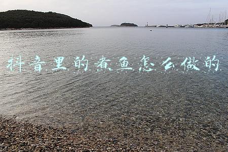 煮鱼饭(闺蜜来访，简单做了4道家常菜，鱼肉配时杂粮饭，实惠好吃又舒服)