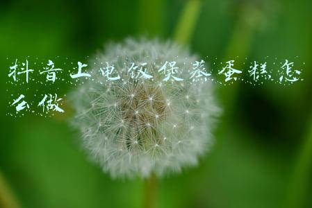 抖音上电饭煲蒸蛋糕怎么做