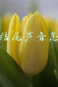 抖音视频怎么加结尾(怎么制作抖音片尾关注 素材图片使用软件推荐)