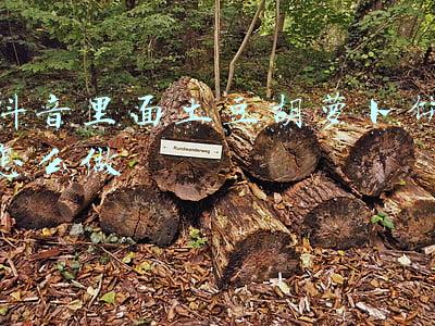土豆丝胡萝卜饼怎么做(不用和面，不用揉面，搅一搅，拌一拌，做份胡萝卜土豆饼当早餐)