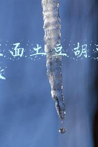 抖音里面土豆胡萝卜饼怎么做