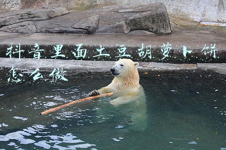 土豆胡萝卜鸡蛋饼(自从土豆学会这样做，我家一周做5次，比红烧肉还好吃，真香)